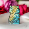 Token of Wisdom - Labradorite Owl Talisman - Pileggi on the Square Salon Powered by Gatto Salon Group
