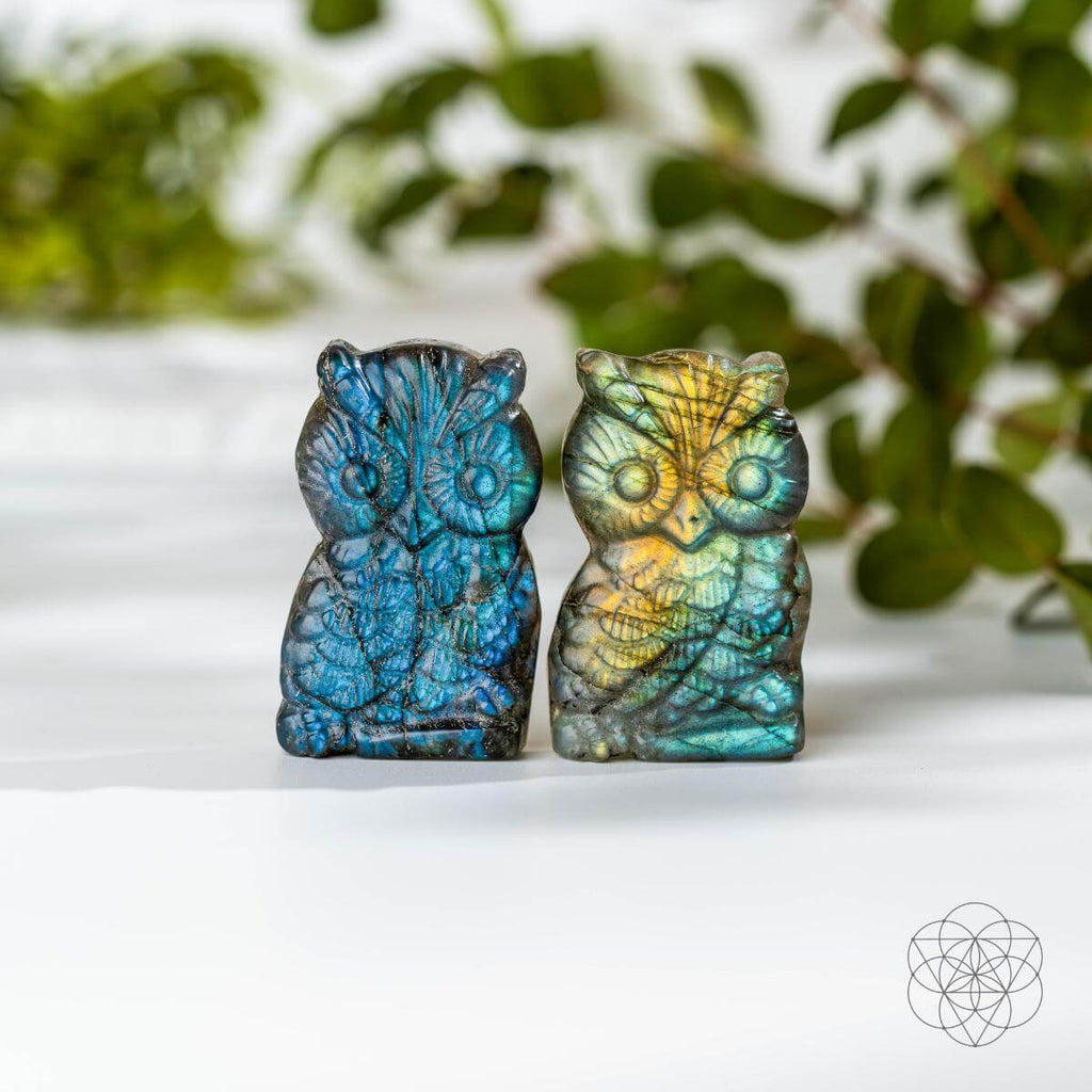 Token of Wisdom - Labradorite Owl Talisman - Pileggi on the Square Salon Powered by Gatto Salon Group
