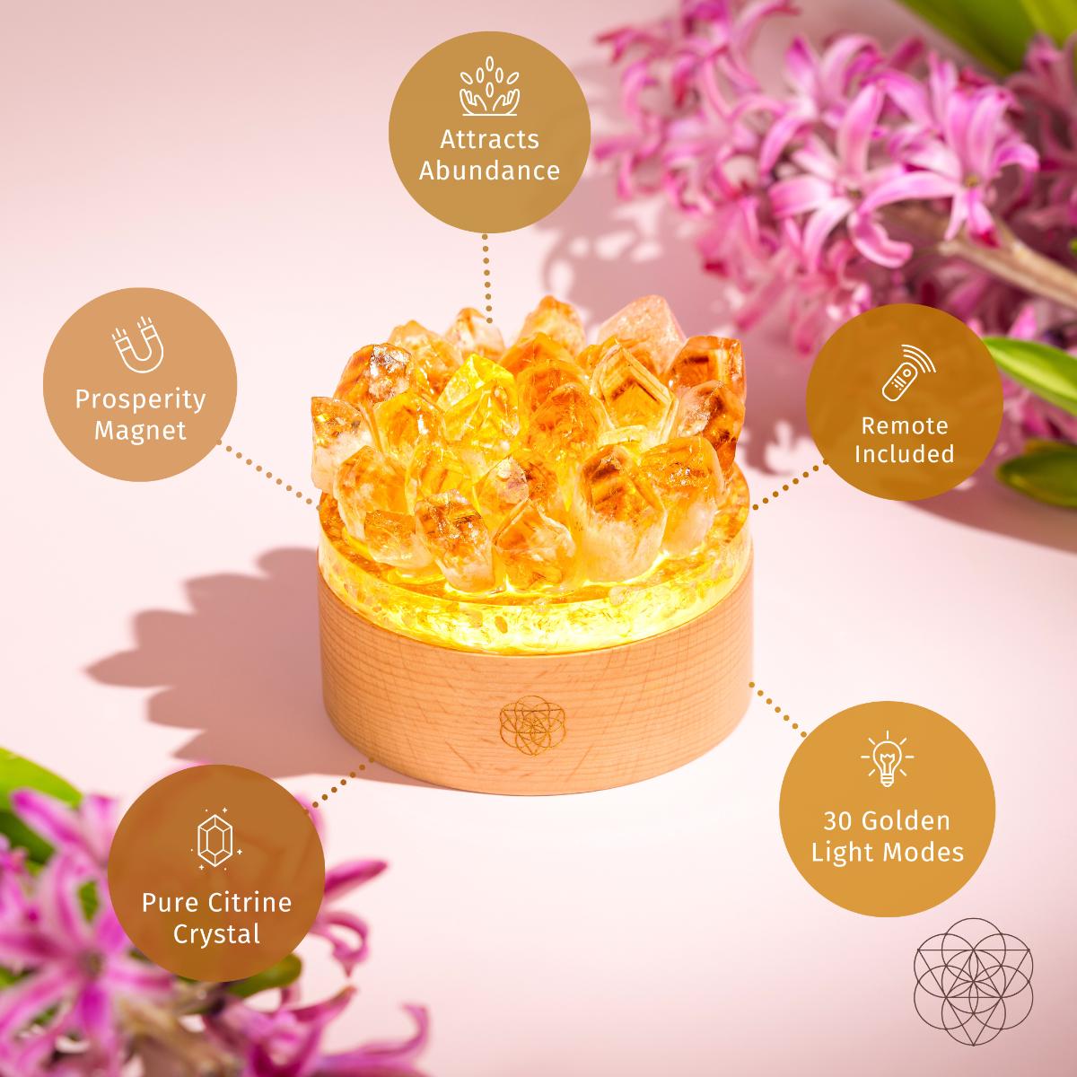 Turn My Life to Gold - Midas Citrine Lamp - Pileggi on the Square Salon Powered by Gatto Salon Group