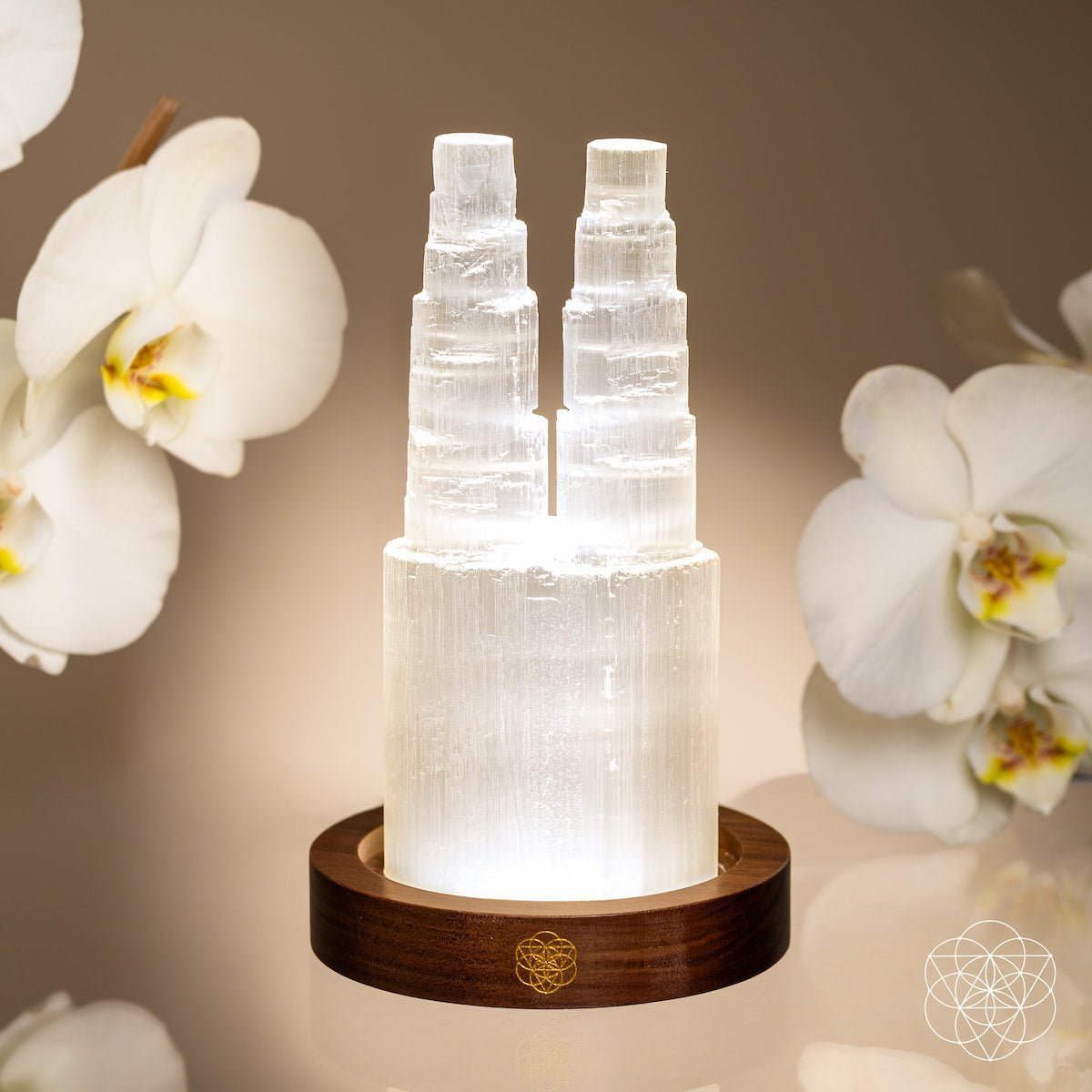 Two - Tower Selenite Lamp – Deep Energy Cleanse & Reset - Pileggi on the Square Salon Powered by Gatto Salon Group