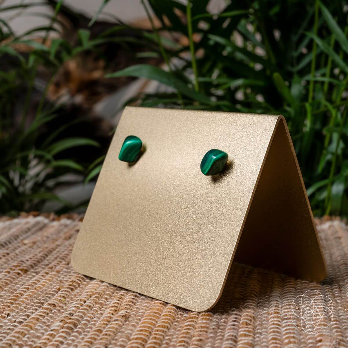 Wealth and Abundance Earring Set - Pileggi on the Square Salon Powered by Gatto Salon Group