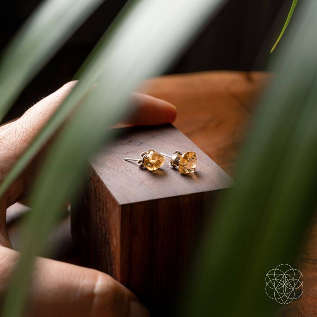 Wealth and Abundance Earring Set - Pileggi on the Square Salon Powered by Gatto Salon Group